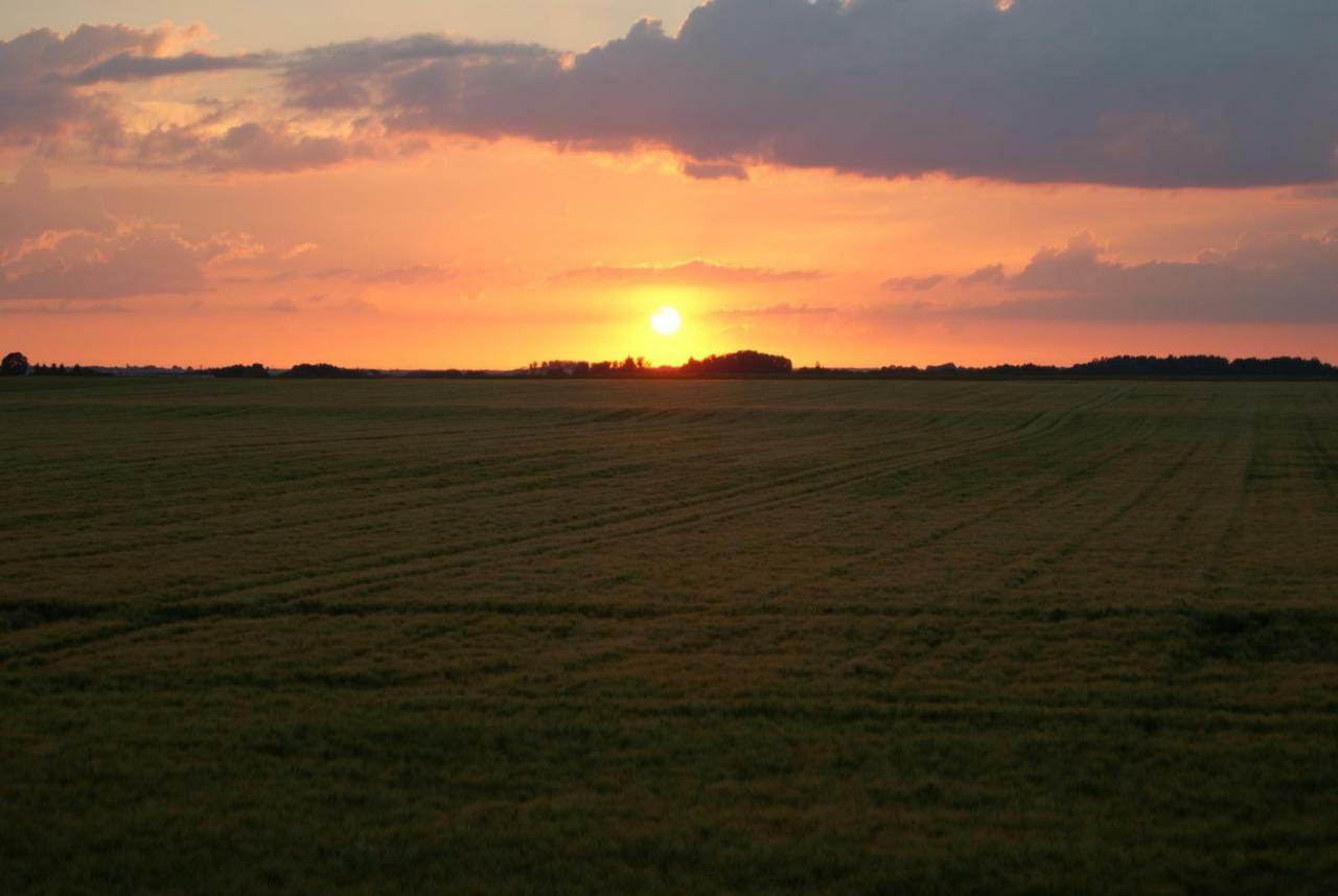 Bed and Breakfast La Bihourderie Azay-sur-Indre Esterno foto